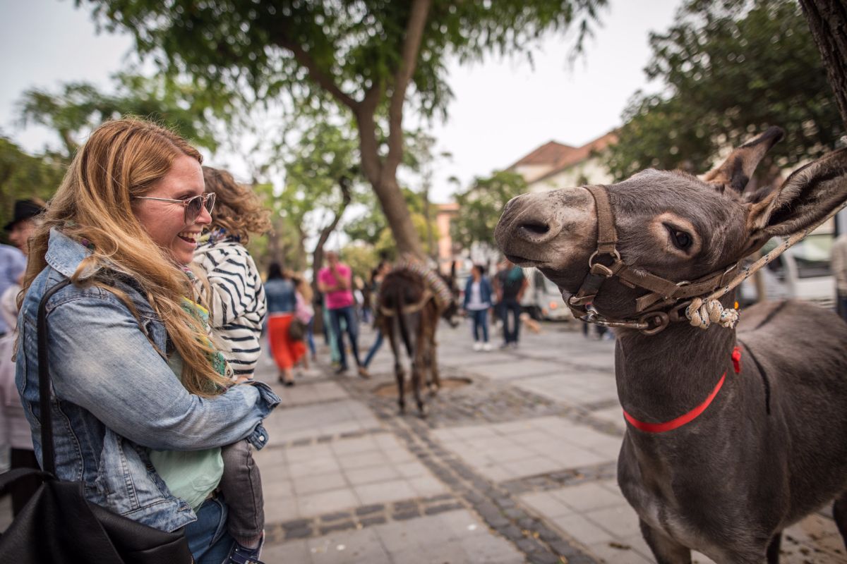 Los más pequeños, y también los adultos, expresaban su sorpresa al ver los animales en medio de la ciudad. Andrés Gutiérrez