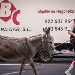Los más pequeños, y también los adultos, expresaban su sorpresa al ver los animales en medio de la ciudad. Andrés Gutiérrez