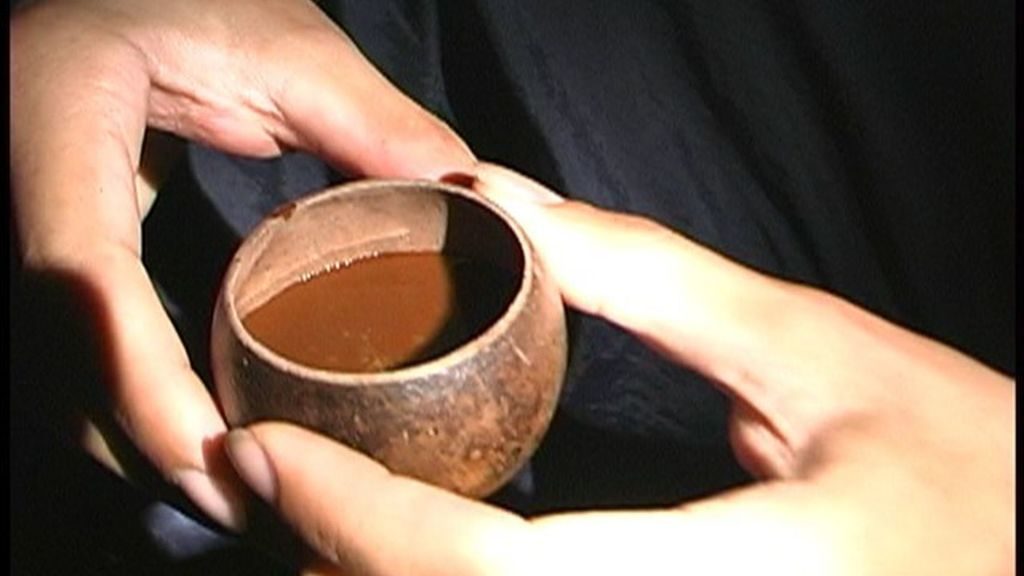 La ayahuasca contiene DMT, una sustancia que provoca alucinaciones a quienes la consumen. FLICKR