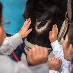 Los más pequeños, y también los adultos, expresaban su sorpresa al ver los animales en medio de la ciudad. Andrés Gutiérrez