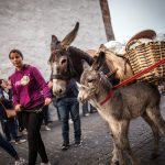 Los más pequeños, y también los adultos, expresaban su sorpresa al ver los animales en medio de la ciudad. Andrés Gutiérrez
