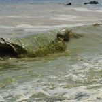 Olas con densas concentraciones de cianobacterias rompiendo en la playa de Cho Vito, en Candelaria, ayer. Juan Jesús González Afonso