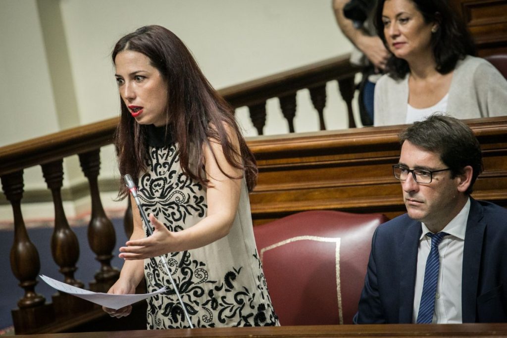 La presidenta del grupo parlamentario Socialista, Patricia Hernández, y el portavoz, Iñaki Lavandera, durante una sesión de control al Gobierno. Andrés Gutiérrez