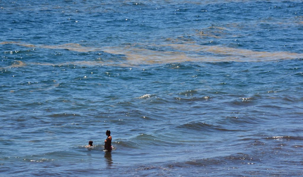 Bañistas junto a una mancha de microalgas en la costa de Tenerife. J. J. G. A.