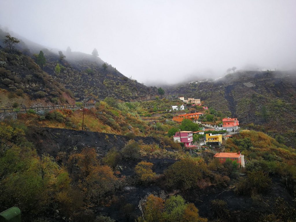 Imágenes de una zona de La Cumbre afectada por las llamas | Cabildo de Gran Canaria