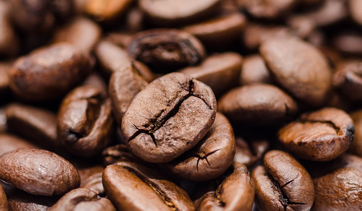 El calentamiento global amenaza la producción de café. DA
