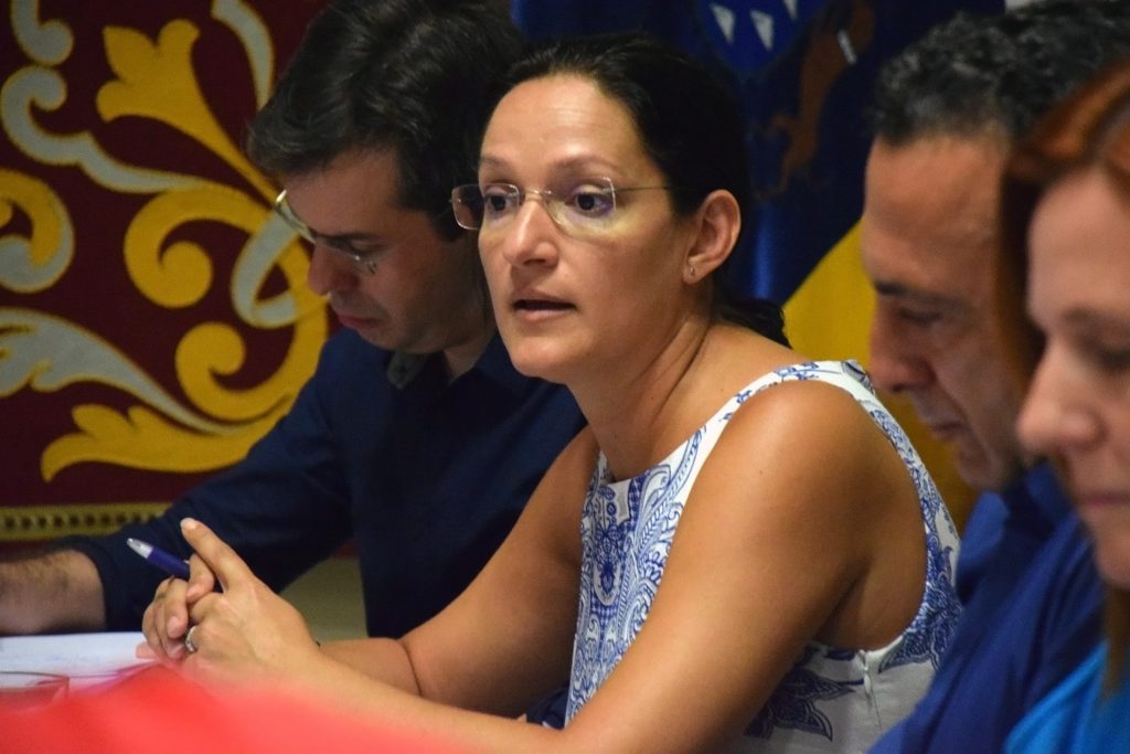 Zaida González durante una comisión de control en el Ayuntamiento de Santa Cruz | DA