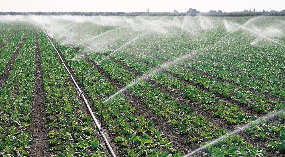 Más de la mitad del agua a la que se da un nuevo uso es destinada al sector agrícola. DA
