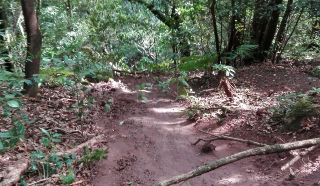La tierra depositada en esta zona es, muy probablemente, la sobrante de los trabajos que se realizan en la pista de Las Hiedras. DA
