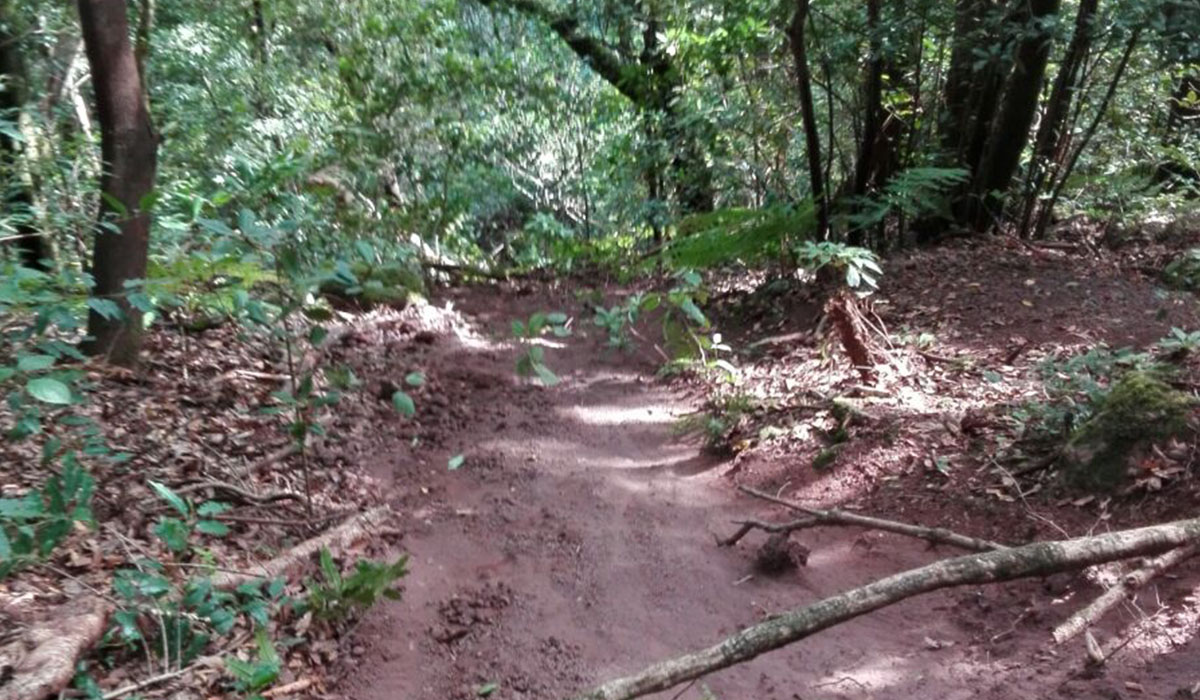 La tierra depositada en esta zona es, muy probablemente, la sobrante de los trabajos que se realizan en la pista de Las Hiedras. DA