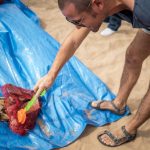 Jornada de limpieza de fondos marinos en la Playa de Las Teresitas | FOTO: Andrés Gutiérrez