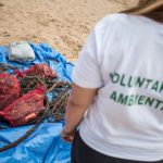 Jornada de limpieza de fondos marinos en la Playa de Las Teresitas | FOTO: Andrés Gutiérrez