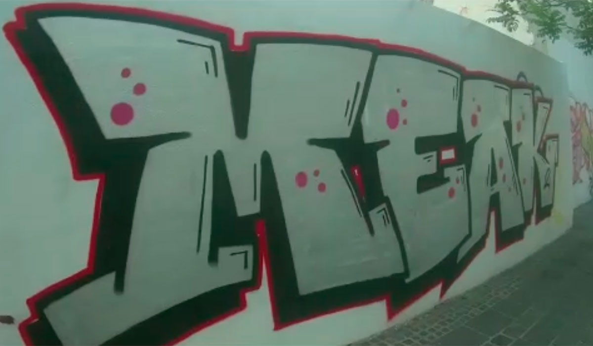 GRAFITERO SANCIONADO SANTA CRUZ VIDEO