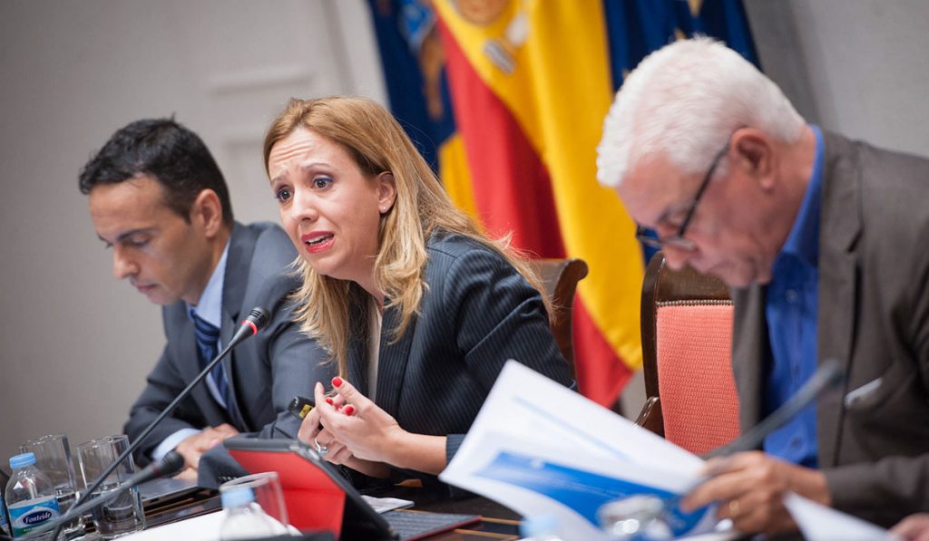 Rosa Dávila expone en la comisión parlamentaria el proyecto de ley de los Presupuestos Generales de la Comunidad Autónoma para 2018. Fran Pallero
