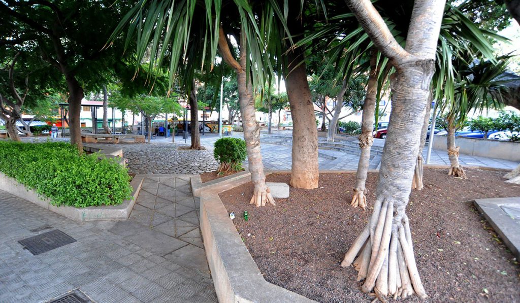 Los parques y jardines de La Salud serán remodelados. DA
