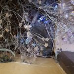 Una de las ratas aparecidas en las oficinas de la Policía Local lagunera. / DA