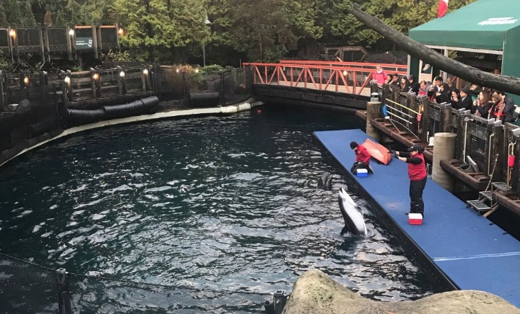 Acuario de Vancuver. / TRIPADVISOR