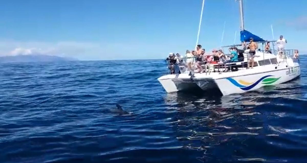 Captura del vídeo grabado por un turista desde otra embarcación en el que se aprecia la aproximación del barco denunciado. DA