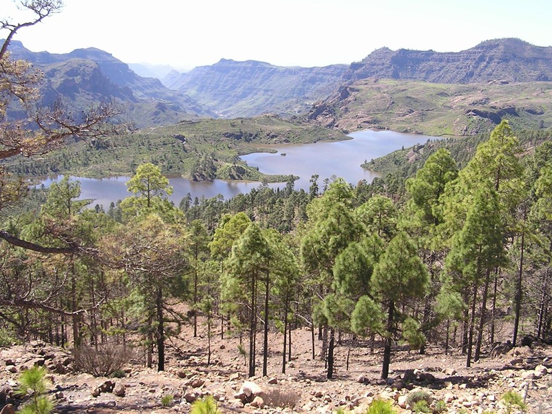 Reserva de agua en Gran Canaria. / EP