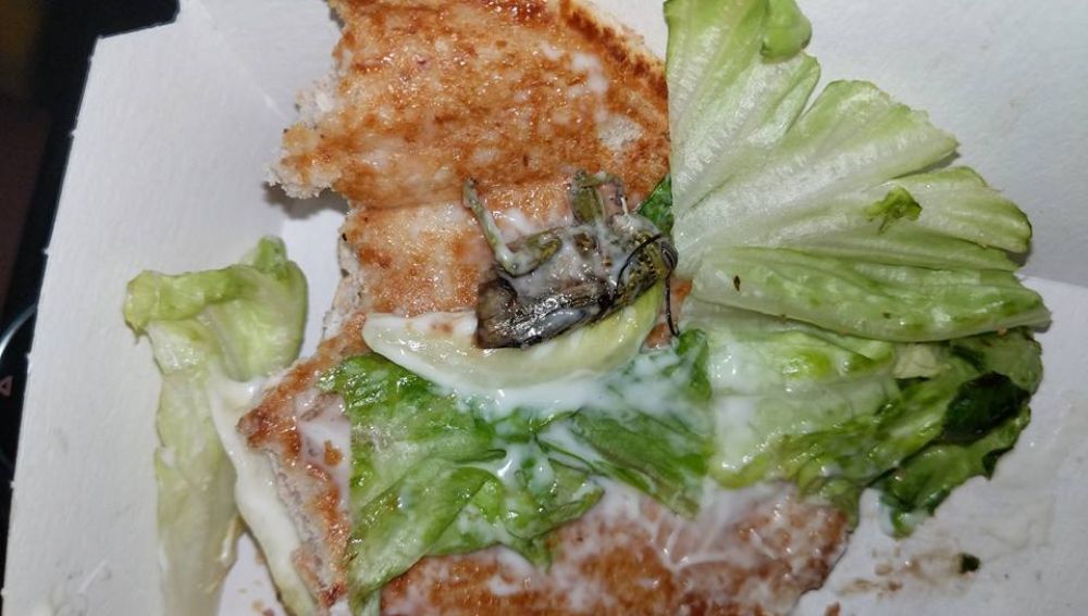 El enorme bicho en la hamburguesa. / FACEBOOK ANITA RIBBON