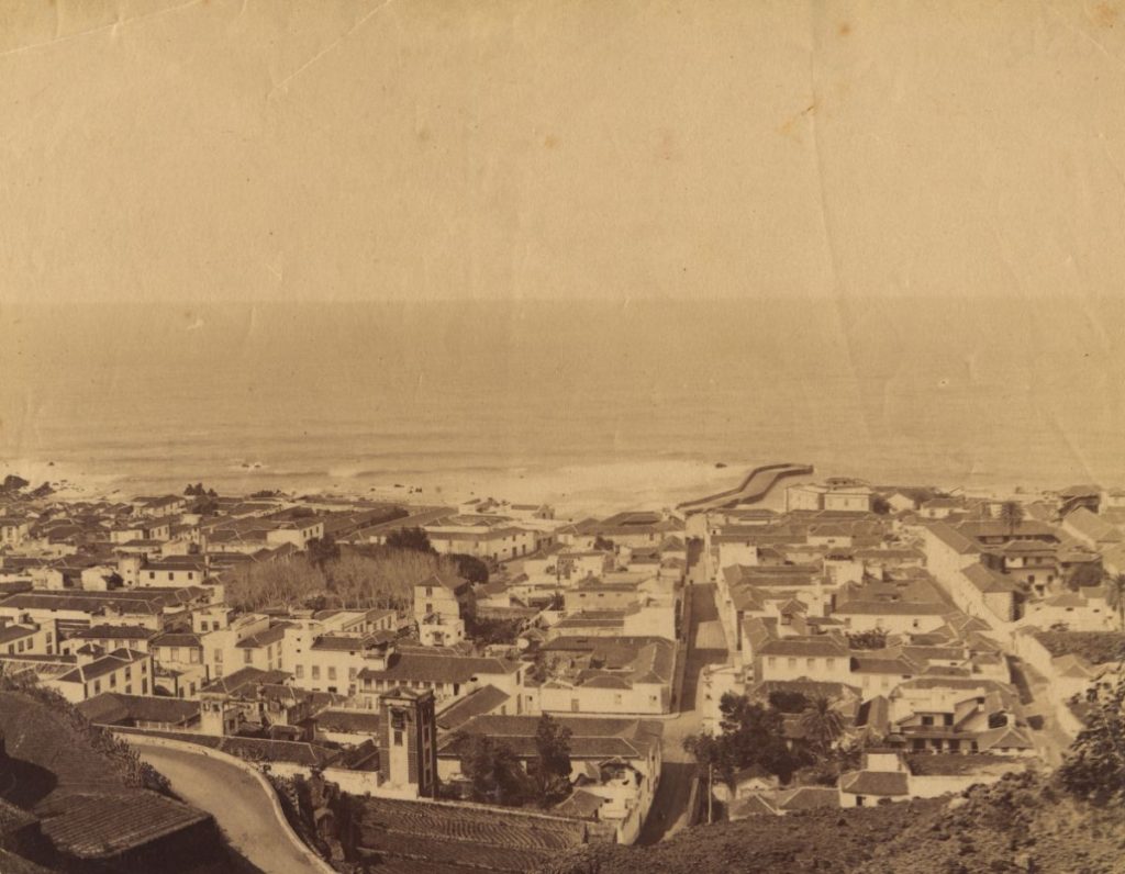 Estampa de Puerto de la Cruz a finales del s. XIX. Archivo FEDAC