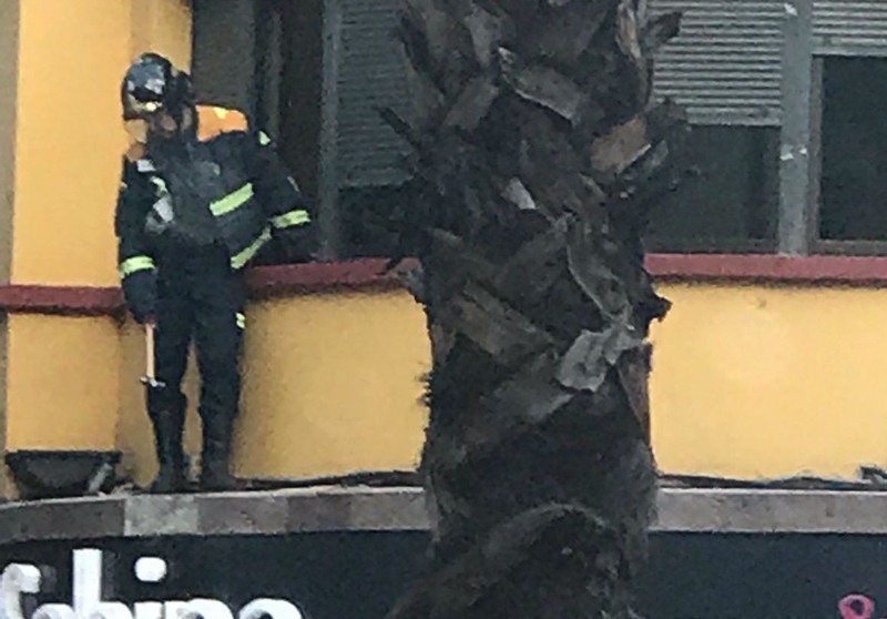 Caída de cascotes en Santa Cruz. / L@S JARDINER@S