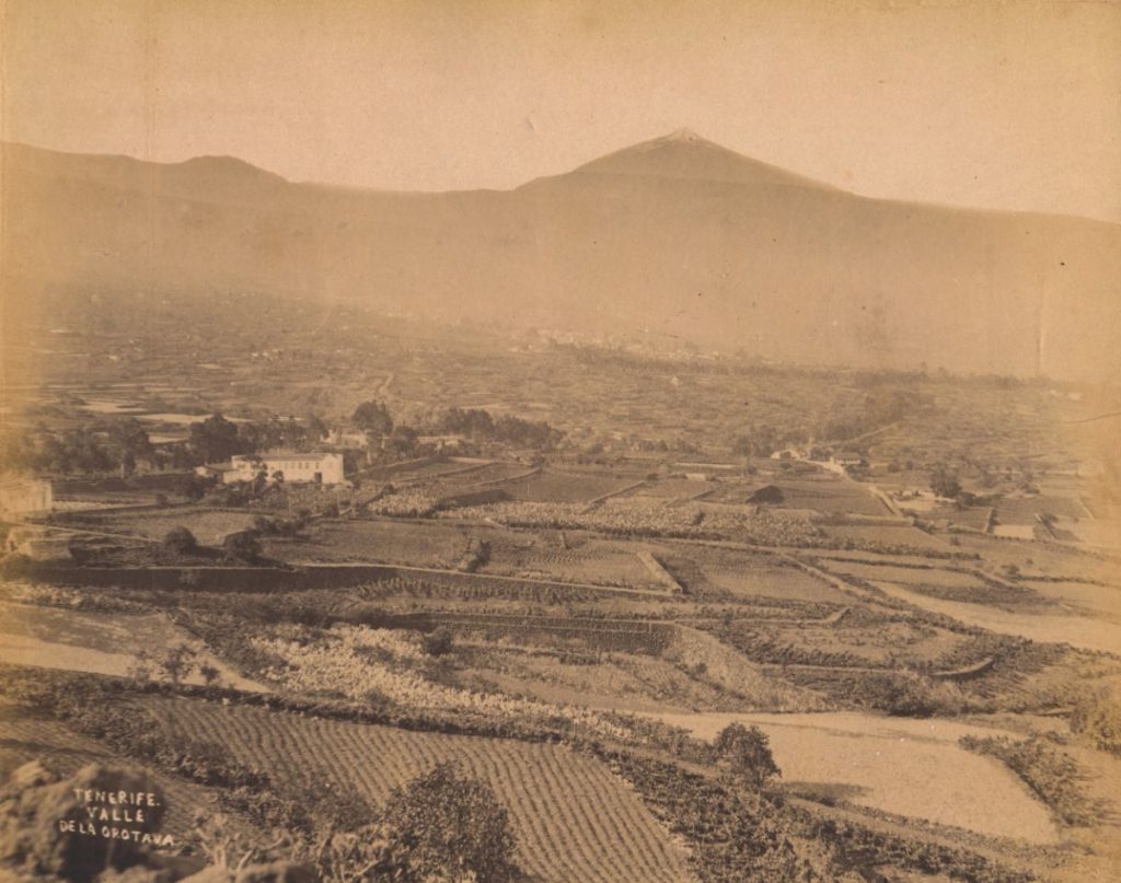 Valle de La Orotava a finales del siglo XIX, escenario natal de José Agustín Álvarez Rixo. | Archivo FEDAC