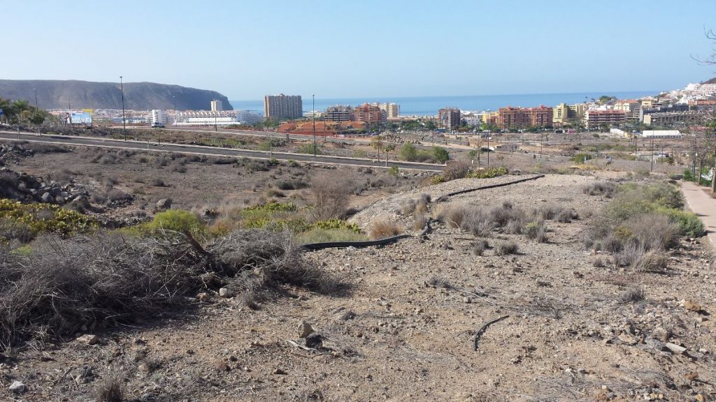 Los terrenos del Mojón, en Arona, se extienden desde el Hospital del Sur, por encima de la autopista, hasta el núcleo de Los Cristianos. J. C. M.