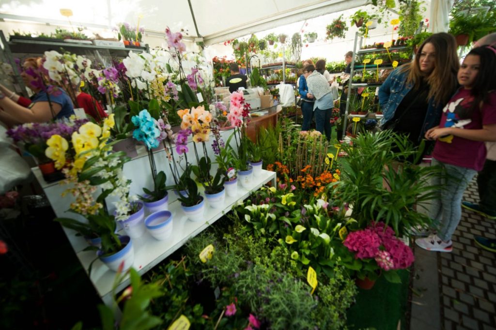 Este año son 22 los expositores que participan en la Feria de Flores y Plantas. Fran Pallero