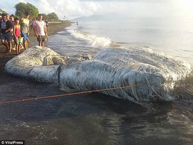 El extraño cadáver aparecido en Filipinas. / DAILY MAIL