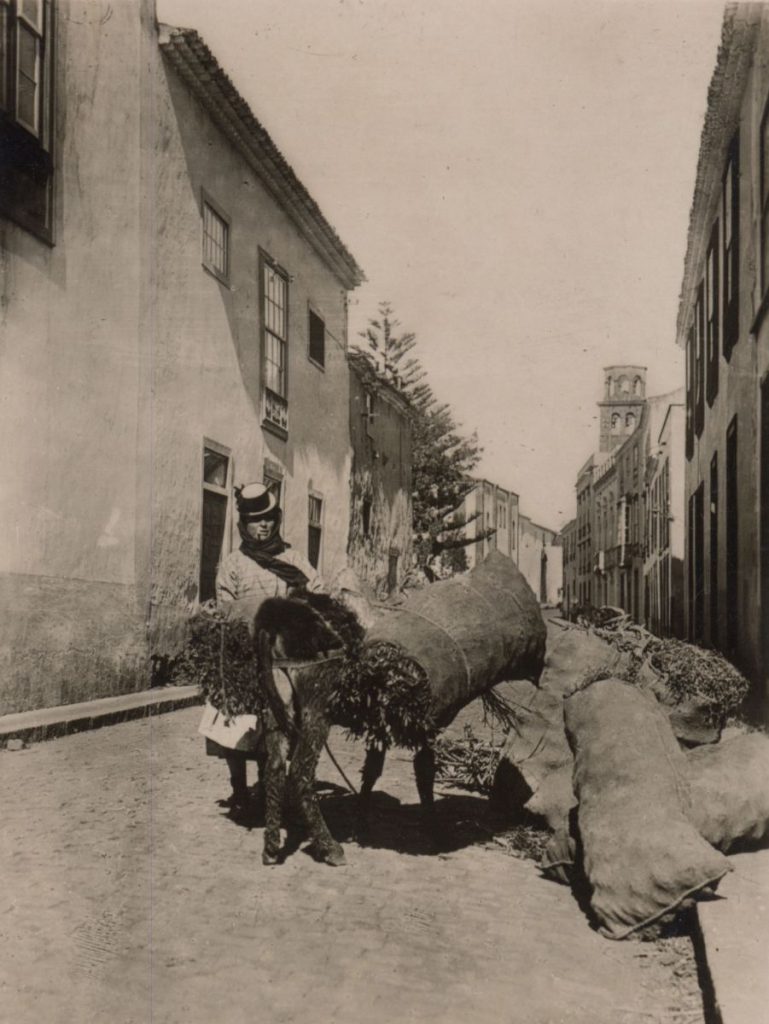 Campesina en La Laguna, año 1934. | Foto: Fedac