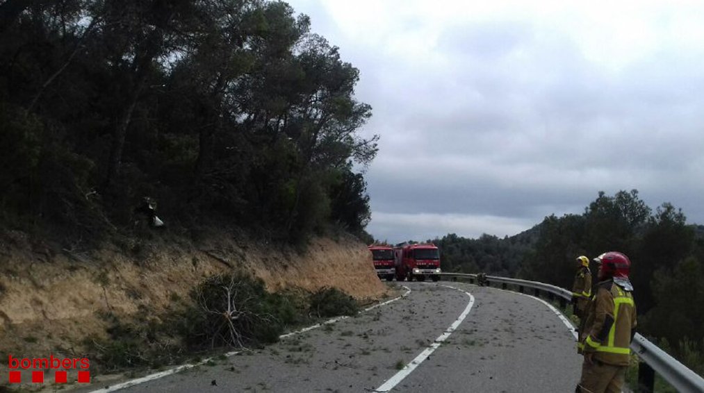 Lugar del accidente de avioneta. / BOMBERS DE LA GENERALITAT