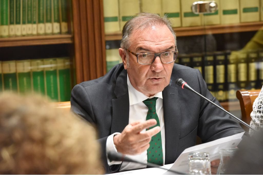 El consejero de Sanidad, José Manuel Baltar, en la Comisión de Sanidad. / DA