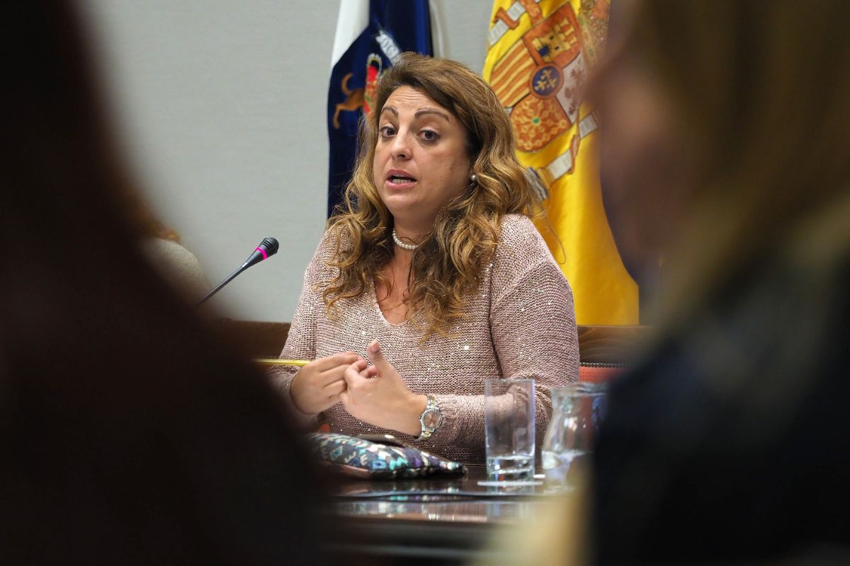 La consejera de Políticas Sociales del Gobierno regional, Cristina Valido, durante la comparecencia parlamentaria de ayer. Sergio Méndez