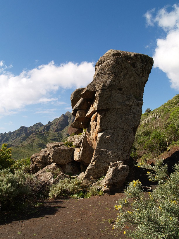 Barranco del Cercado, San Andrés. Tenerife. Autor: F.M. Hdez. Martín
