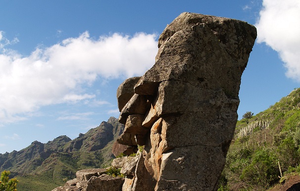Barranco del Cercado, San Andrés. Tenerife. Autor: F.M. Hdez. Martín