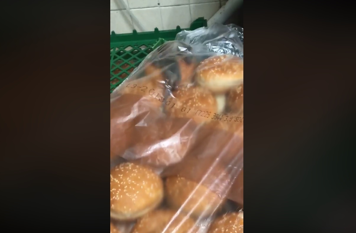 Ratas en un Burger King