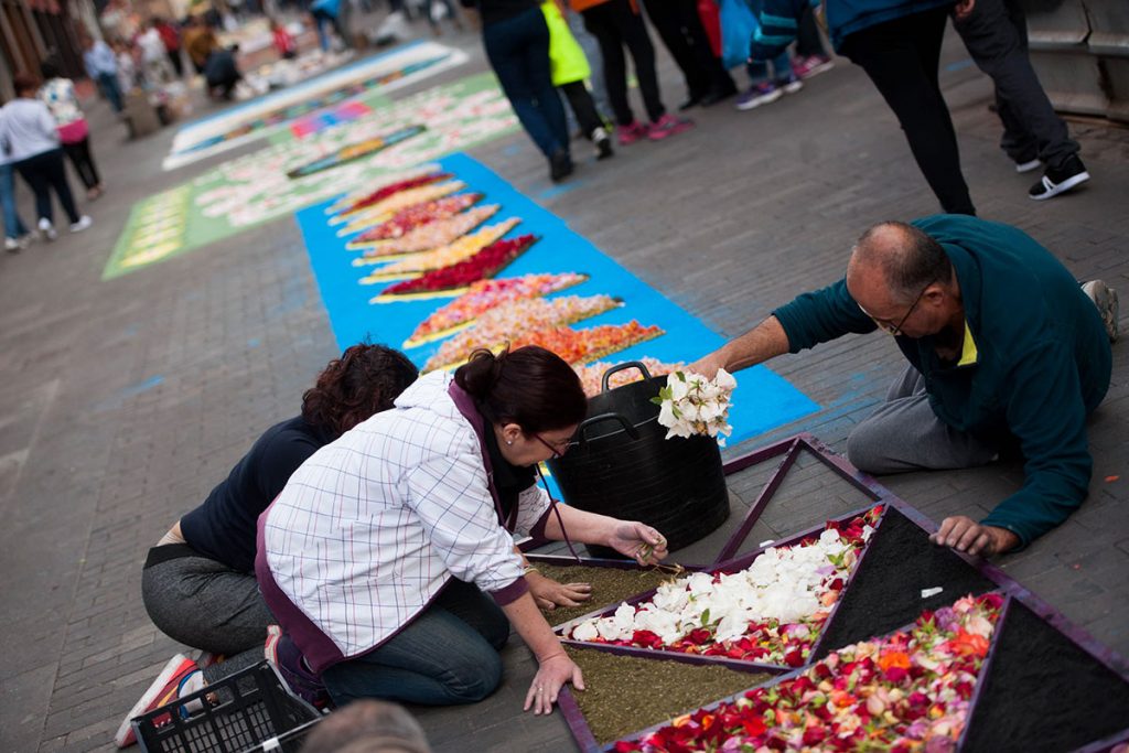 alfombras la laguna corpus 2
