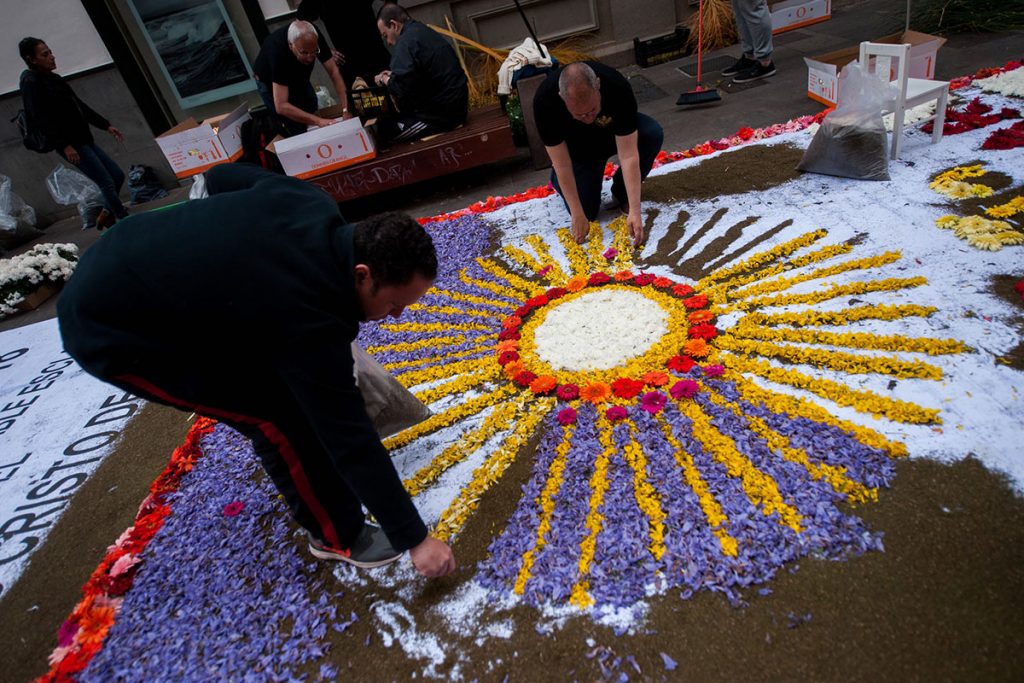 alfombras la laguna corpus 4