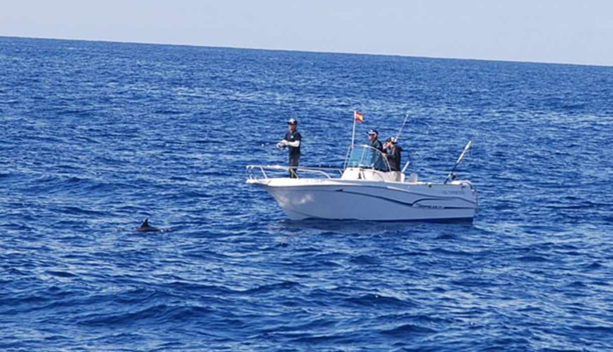 BARCO PESQUERO DELFINES ARONA