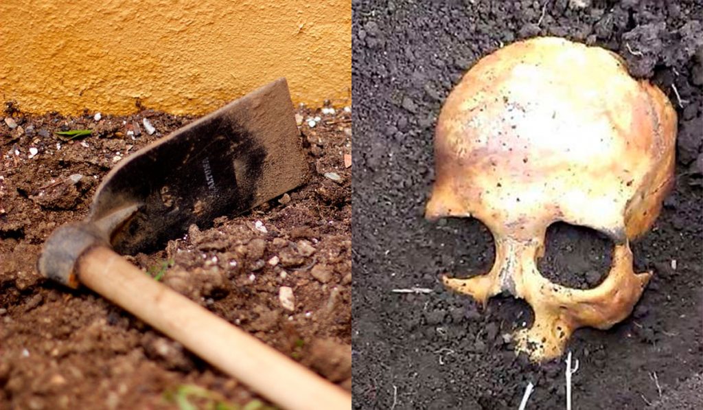 CADÁVER PLANTA PAPAS