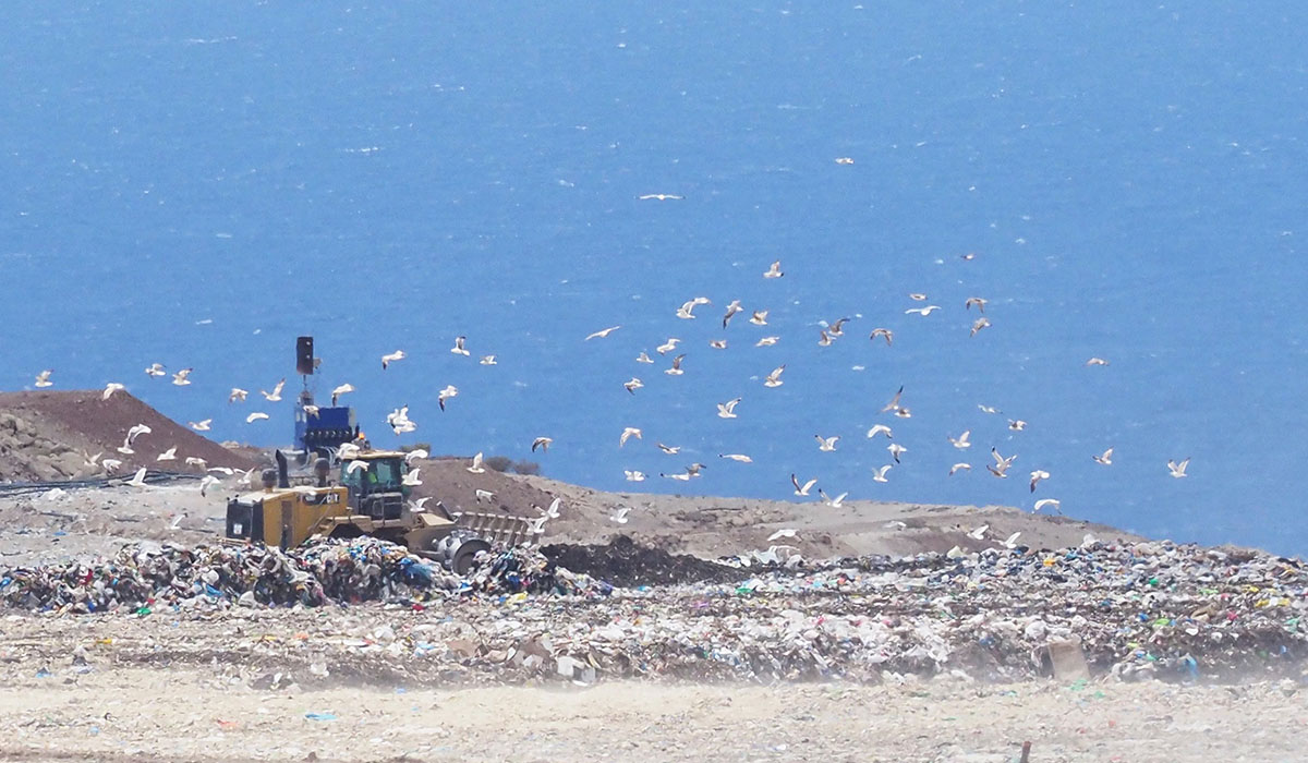 Montañas de basura en el Complejo Ambiental de Tenerife, en Arico. Sergio Méndez
