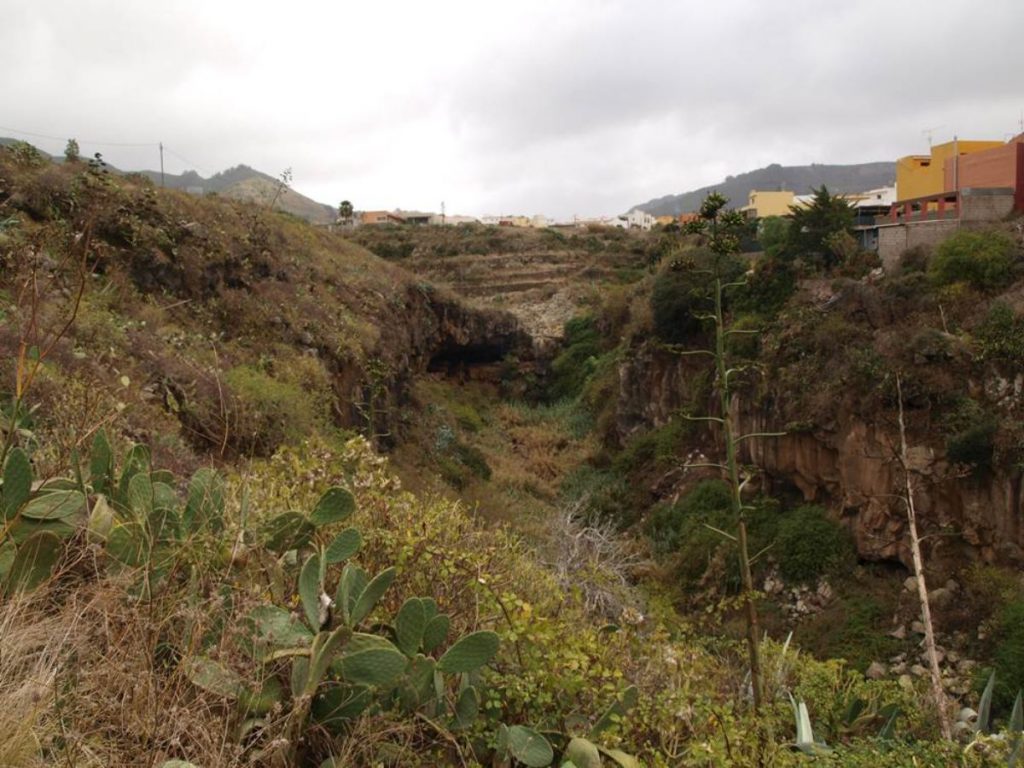 Sector de El Murgaño, en el barranco Agua de Dios, en el municipio de Tegueste. DA