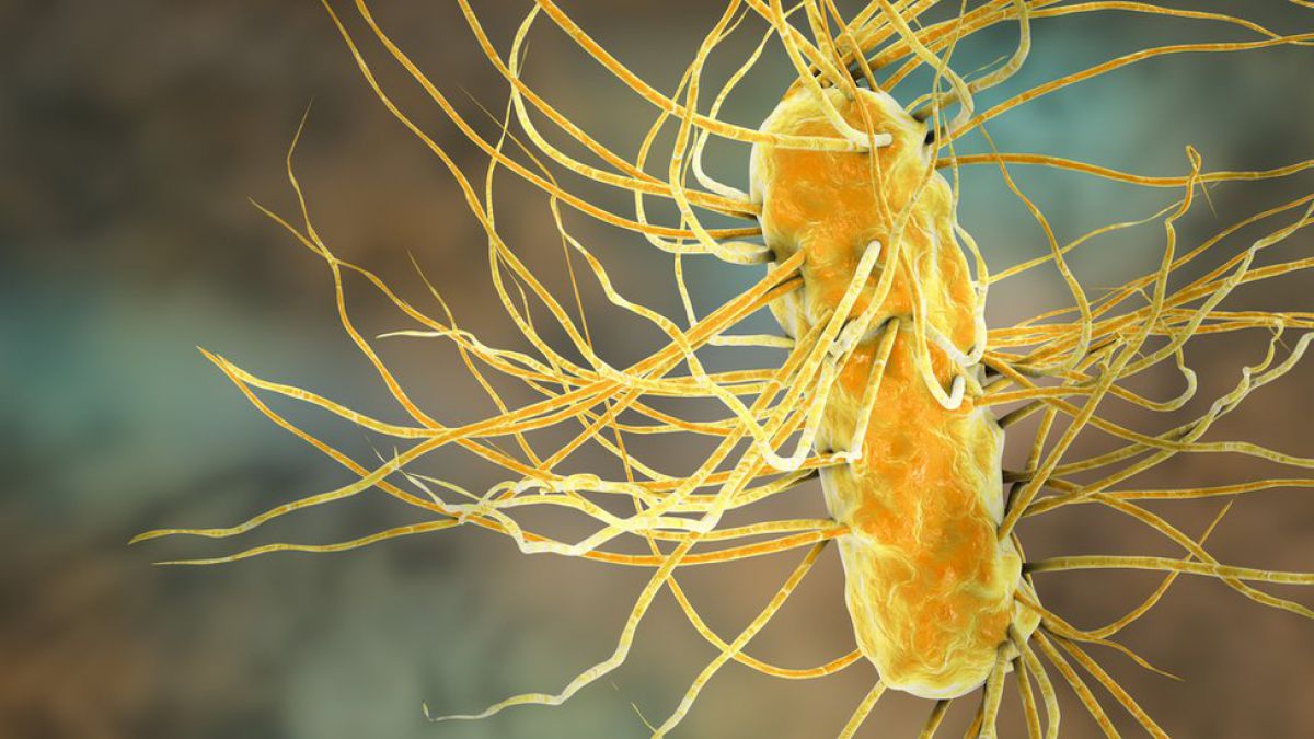 Imagen usada para ilustrar a la falsa bacteria 'litobacter mycota'. / TWITTER