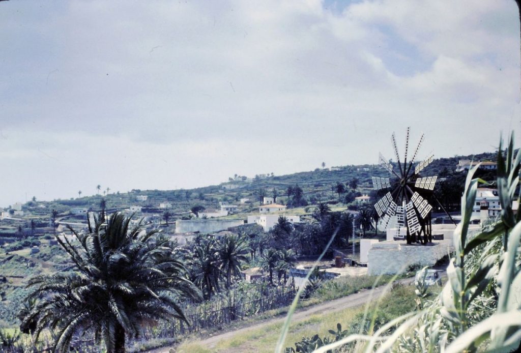 Foto: Francisco M. Jiménez Acosta