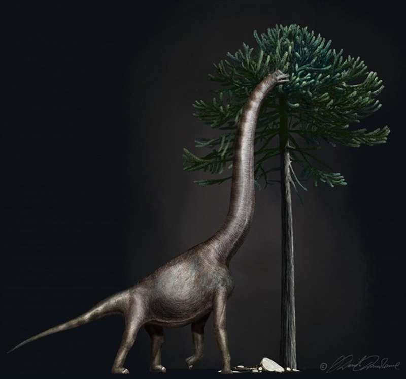 Dinosaurio con el pie más grande jamás encontrado. / EP
