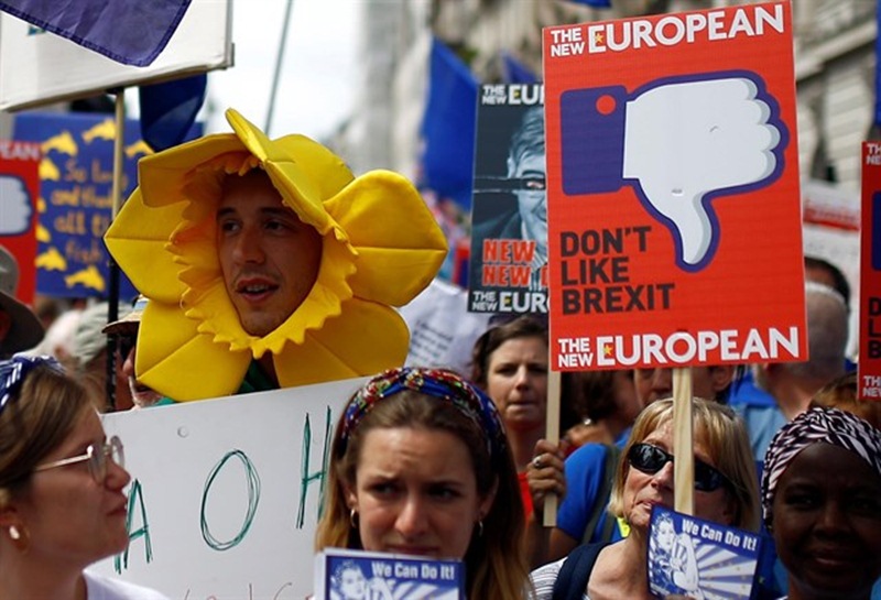 Manifestantes por el brexit. / EP