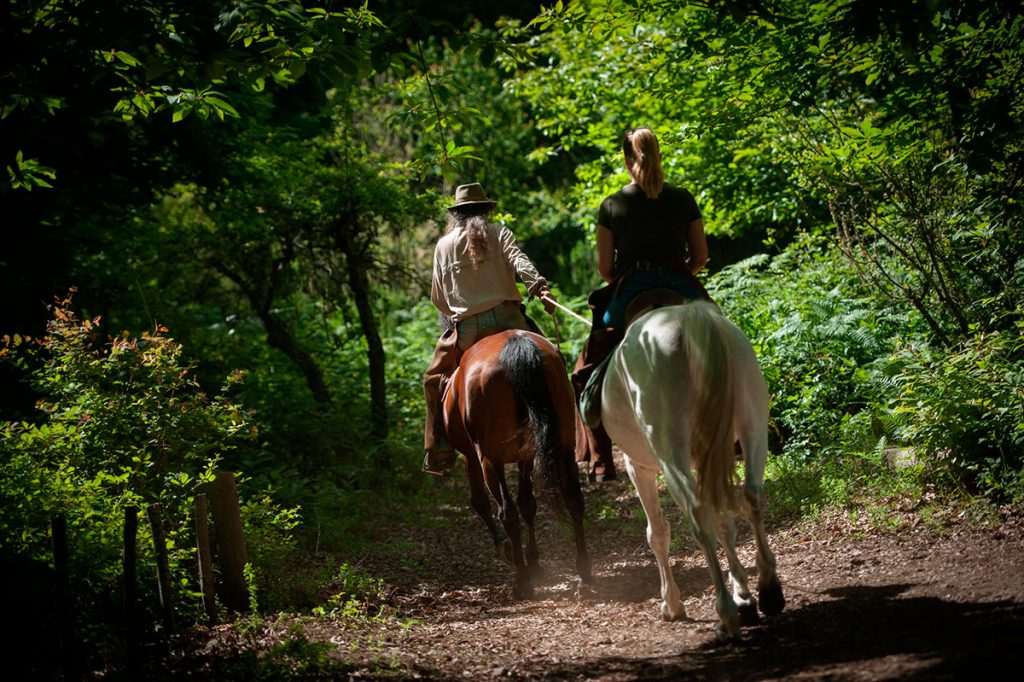 FP CABALLOS LA OROTAVA TRAVIESO AVENTURAS
