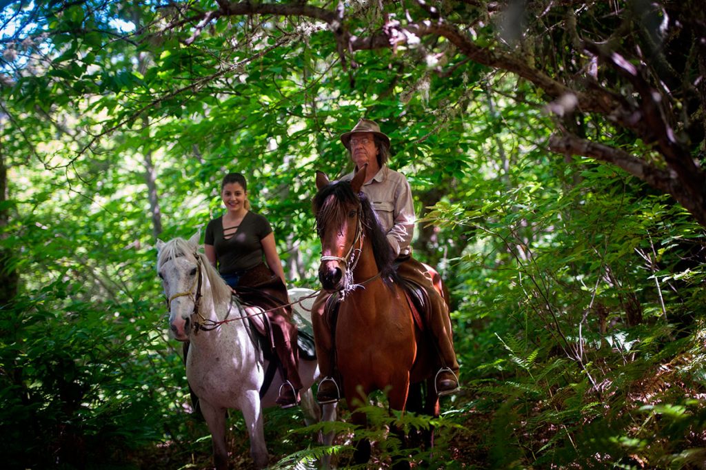 FP CABALLOS LA OROTAVA TRAVIESO AVENTURAS