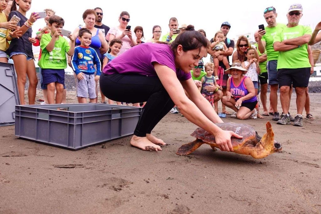 En el marco de la celebración de la prueba, se ha soltado al mar una tortuga. | Foto: Javier Durán